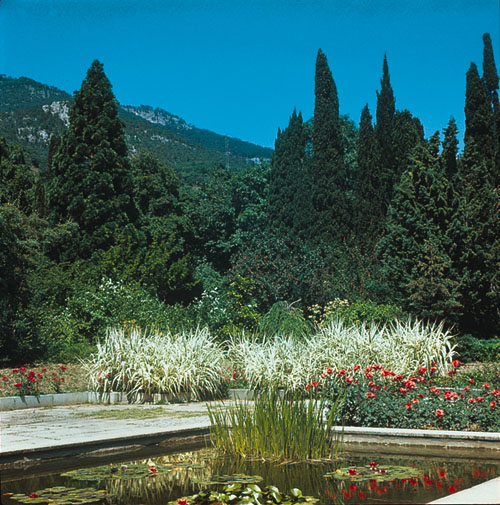 Никільський ботанічний сад