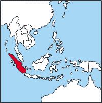 Суматра