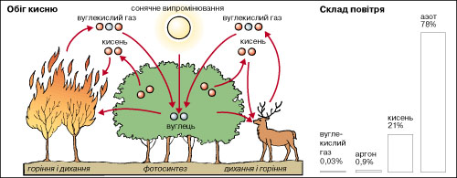 повітря