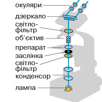мікроскоп